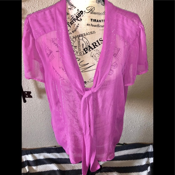 Sheer Blouse - Picture 1 of 3